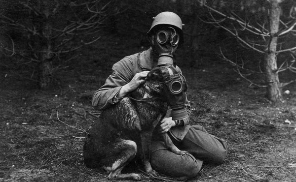 Собака - друг человека.