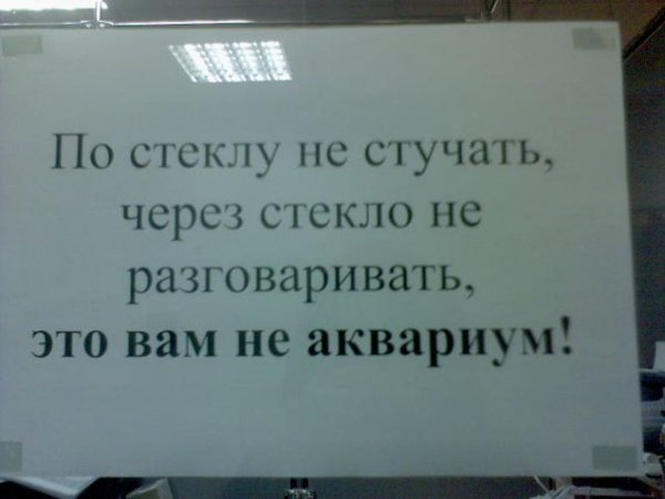 Только, если вы не рептилоид )) - Моё, Надпись, Глупость, Закамск