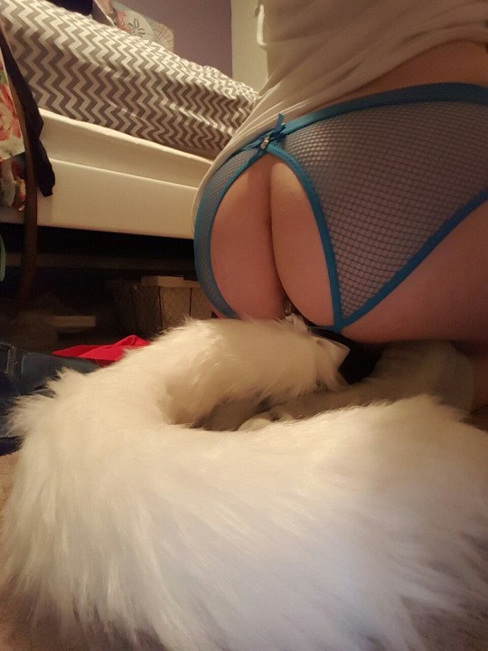 Fluffy #45 - NSFW, Booty, , Plump, Boobs, Erotic, GIF, Longpost