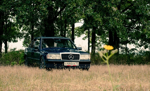 Mercedes-Benz 190e - My, Mercedes, , W201, Photo, My, Auto, Field, 90th