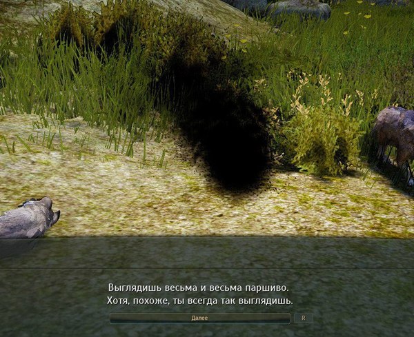When even the game is against you - Black desert, Appearance, Computer games