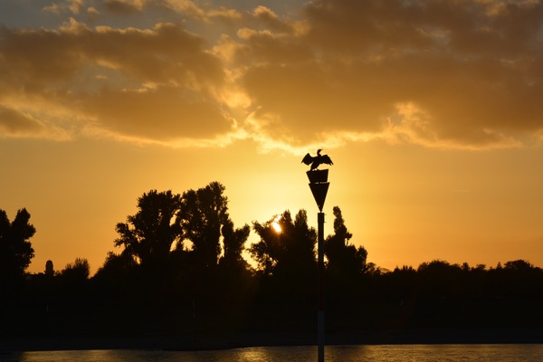 баклан сушит крылья зачем. Смотреть фото баклан сушит крылья зачем. Смотреть картинку баклан сушит крылья зачем. Картинка про баклан сушит крылья зачем. Фото баклан сушит крылья зачем баклан сушит крылья зачем. Смотреть фото баклан сушит крылья зачем. Смотреть картинку баклан сушит крылья зачем. Картинка про баклан сушит крылья зачем. Фото баклан сушит крылья зачем