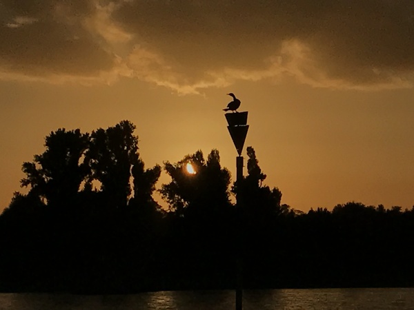 баклан сушит крылья зачем. Смотреть фото баклан сушит крылья зачем. Смотреть картинку баклан сушит крылья зачем. Картинка про баклан сушит крылья зачем. Фото баклан сушит крылья зачем баклан сушит крылья зачем. Смотреть фото баклан сушит крылья зачем. Смотреть картинку баклан сушит крылья зачем. Картинка про баклан сушит крылья зачем. Фото баклан сушит крылья зачем