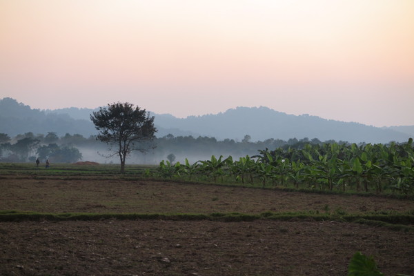 Sunset in Chitwan, Nepal - My, Nepal, Chitwan, Sunset