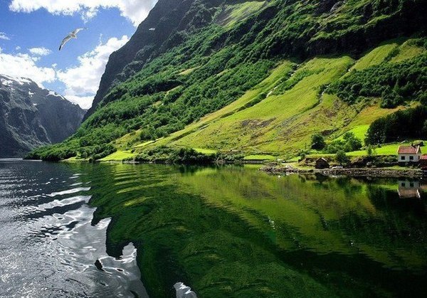 Norway - Norway, beauty, From the network, Fjords