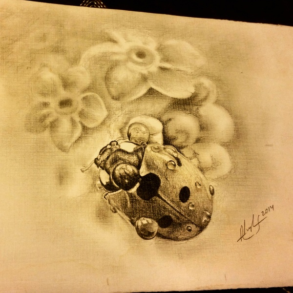 ladybug on flowers - My, Drawing, ladybug, Sketch, Tattoo sketch