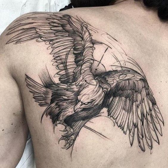 Few eagles from around the world - Llt, Tattoo, Eagle, Sketch, Sketch, Tattoo, Longpost