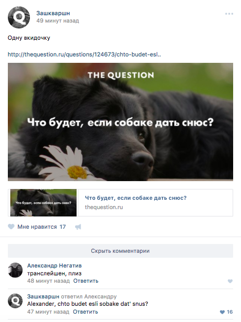 translation, plz - Thequestion, Zashkvar, In contact with, Question, Dog