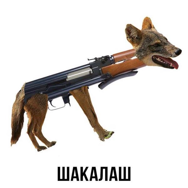 Jackalash - Jackals, Kalashnikov assault rifle