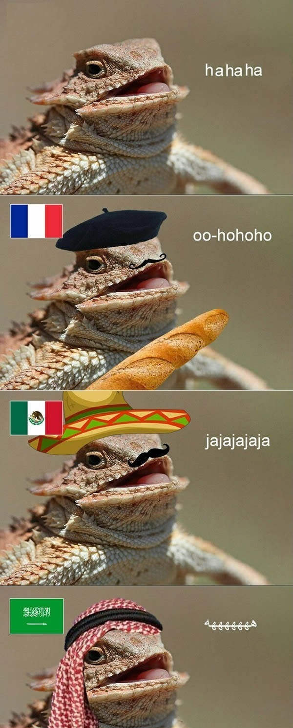 Hahaha - Laugh, Lizard, , Mexicans, French people, Arabs