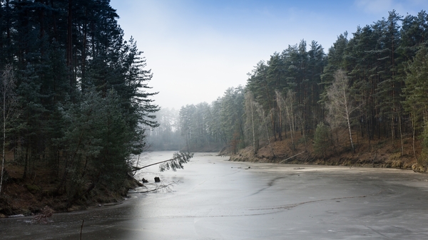 Varlamovka, Zavolzhye - My, Chuvashia, Zavolzhye, Cheboksary, Forest, Pine, Winter, Spring, Landscape, Longpost