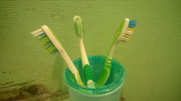 Obviously - My, Dormitory, Girls, Toothbrush