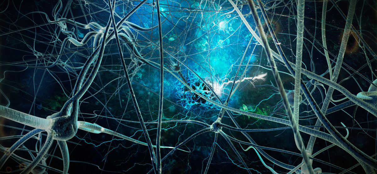 Brain neurons. Нейроны мозга. Мозг человека Нейроны. Нейронная сеть мозга. Сеть нейронов в мозге.