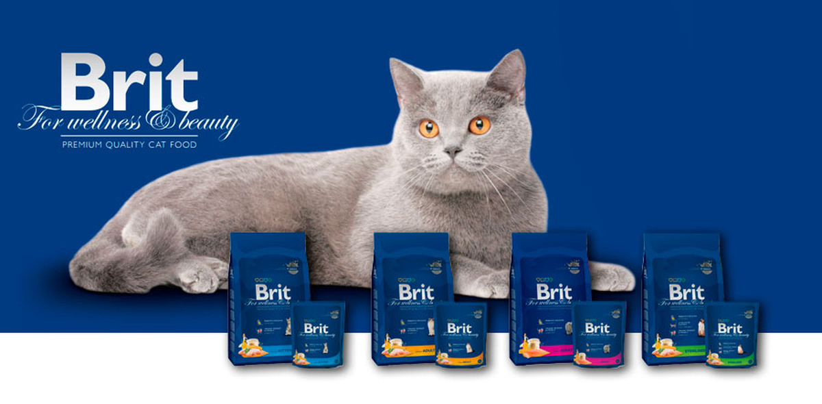 Что значит брит. Brit Premium Care. Корм для кошек Brit Premium 1кг. Brit Premium логотип. Корм для собак Brit Premium.