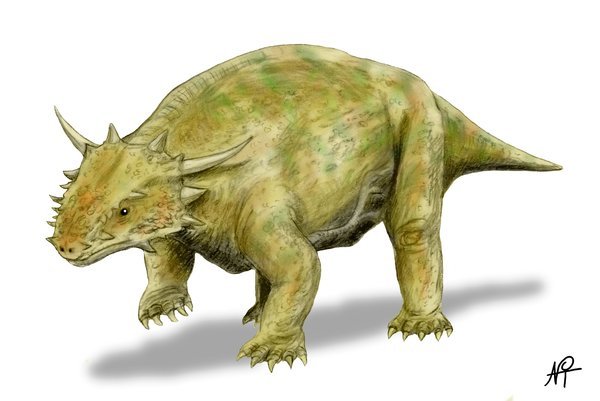 Парейазавры. - Моё, Ssynapsid, Парейазавры, Пермский период, Лига биологов, Палеонтология, Длиннопост