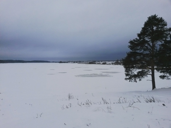 A little winter - My, Vologodskaya Oblast, Snow, Landscape, Longpost