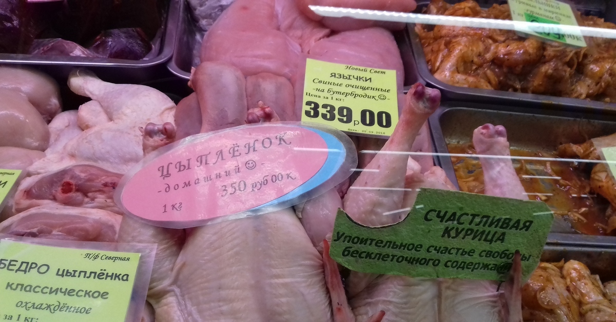 Приколы про кур