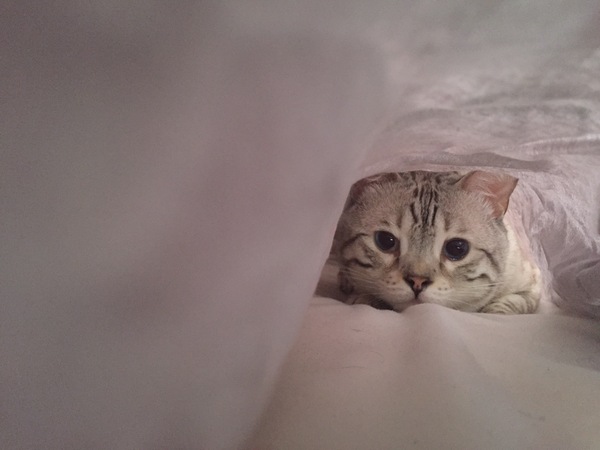 � ������� � � ������!