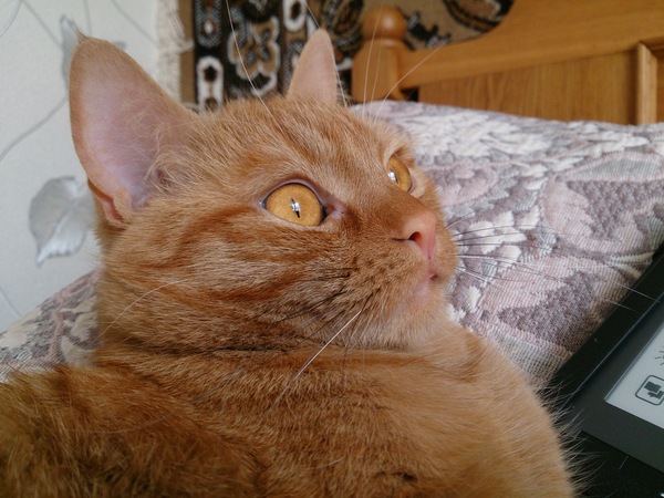 ��� ����� ������?! ��� ������� ������� ���? �_�