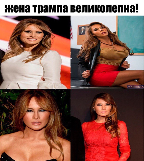 Observation - Melania trump, Similarity, Observation