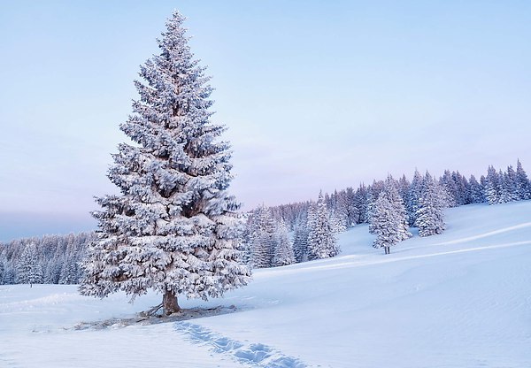 Beauty of RUSSIA! - Russia, The nature of Russia, Longpost