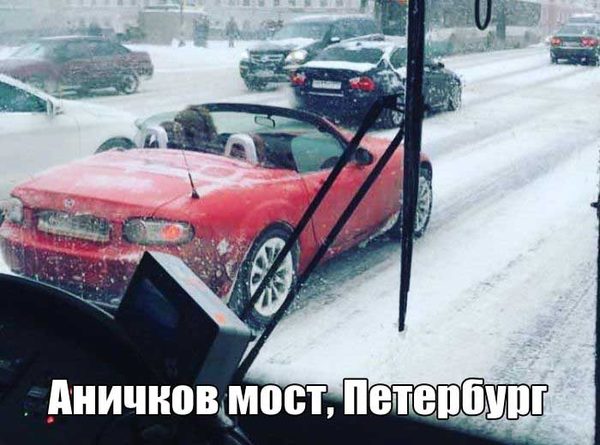 The holiday comes to us! - Car, Winter, Saint Petersburg, Cap, Roof, Auto, Cold, Snow