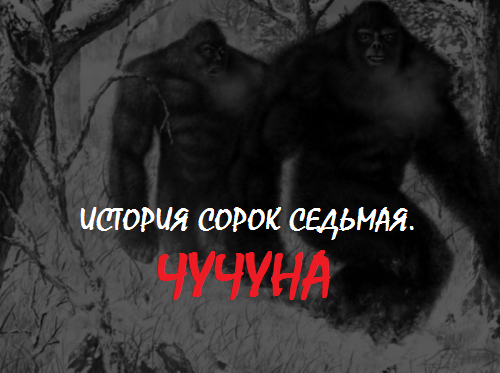 ����� �������� ����������. ������