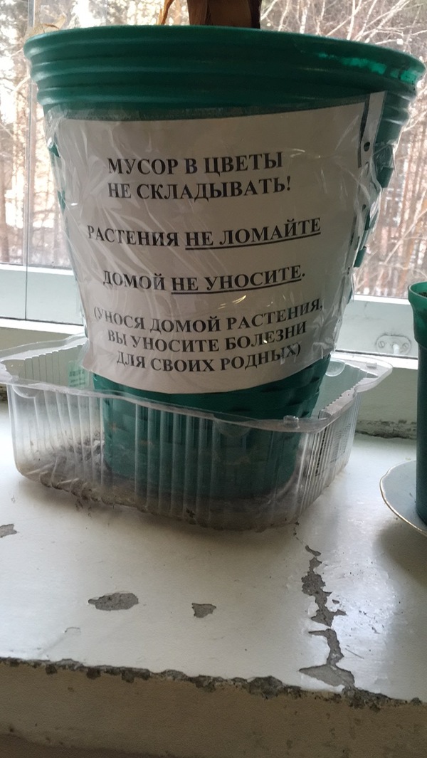 Argument argument - My, Hospital, Yekaterinburg