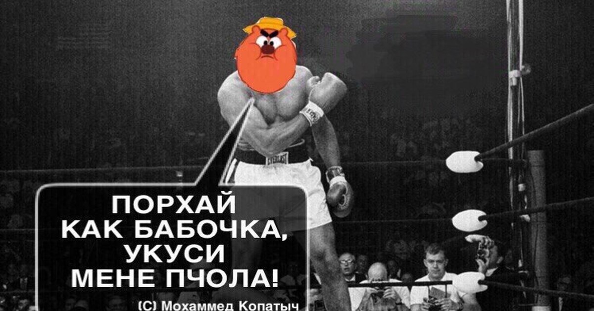 Фраза порхай бабочка. Порхай как бабочка. Порхай как бабочка жаль как пчела. Порхай как бабочка жаль прикол. Порхай как бабочка жаль как пчела шутки.
