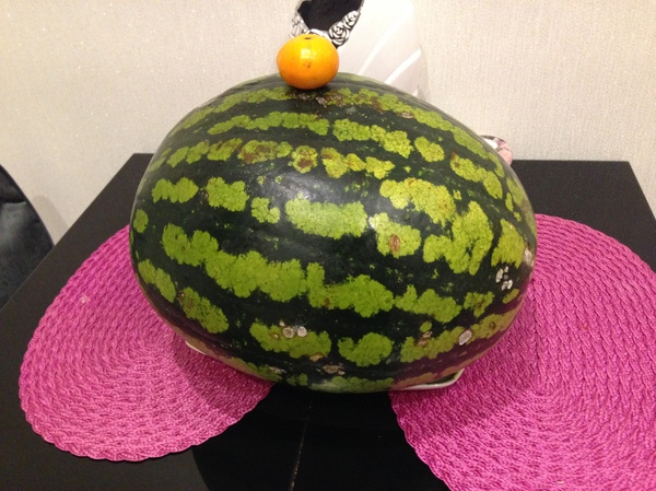 Watermelon - My, Watermelon, Berries, Storage, Longpost