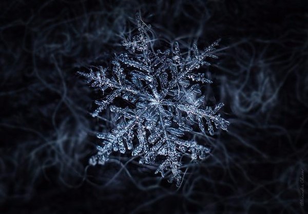 Sometimes beauty is just around the corner. Snowflake on a glove. - Art, The photo, Winter, Holiday greetings