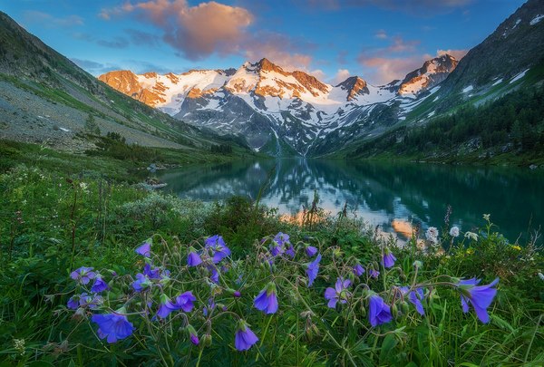 Mountain Altai - Mountain Altai, From the network, Fabulously, beauty, Altai Republic