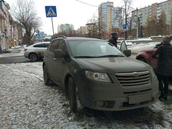 About the dangers of citizenship? - My, Parking, Sidewalk, Cattle, Fight, Chelyabinsk, Longpost