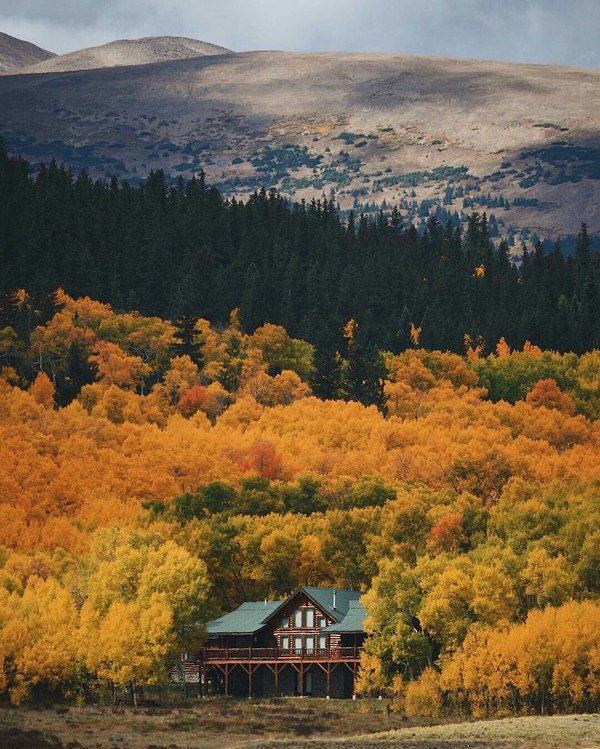 House in the woods - beauty, Autumn, House