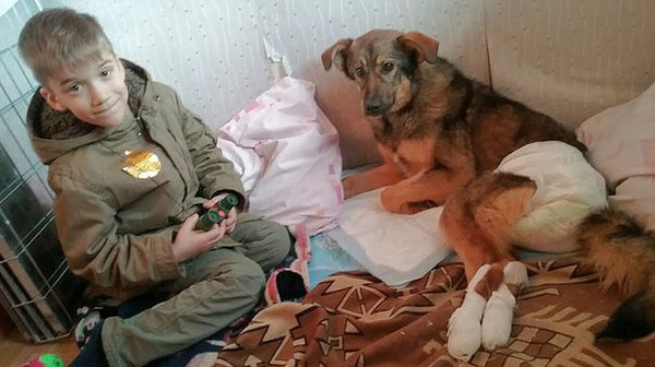 In St. Petersburg, a child donated his savings for the treatment of a dog. - Soul, Parenting, Dog, Help, Helping animals