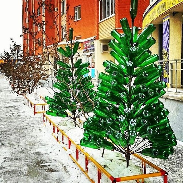 Christmas trees in Tyumen - My, Christmas trees, New Year, 