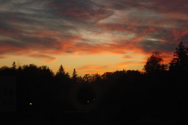 ������ �������))