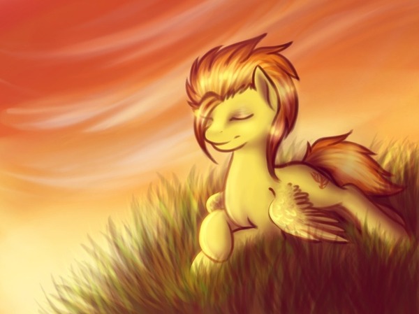  My Little Pony, Octavatic, Spitfire