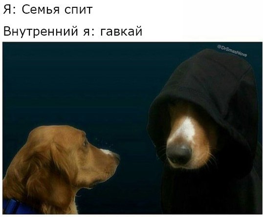 Сделай это - Собака, Другой я, Сделай это