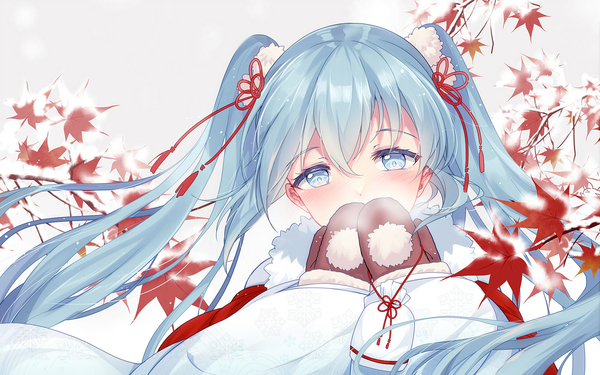 Vocaloid - Miku.  - bison cangshu , Vocaloid, Hatsune Miku, Anime Art, Yuki Miku