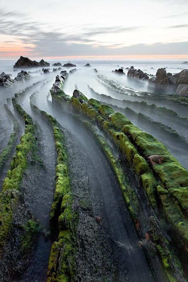 Like the tails of ancient lizards... - The rocks, dawn, Fog, Spain