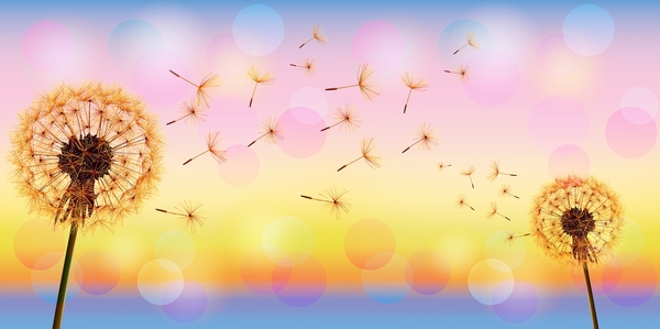 In flight! - Dandelion, Harmony, Nature, Wallpaper