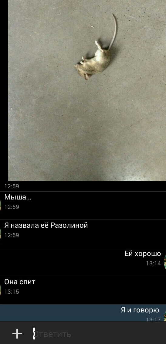 Когда очень хочешь домашнее животное.