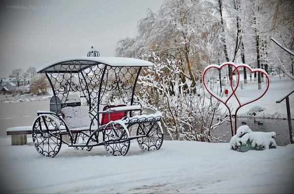 Winter silence - Photo, Republic of Belarus, Forging