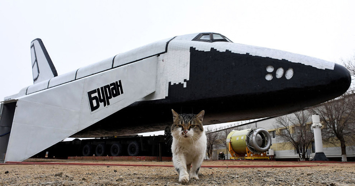 Буран полет. Корабль МС 3. Кот в космическом Шатле. Буран полетный макет. Буран космический корабль мемы.