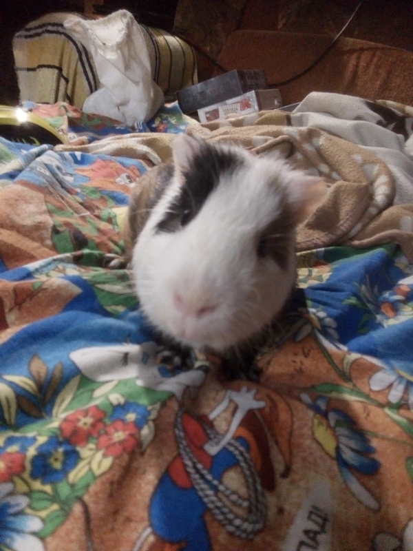 ����� �� ��� #7