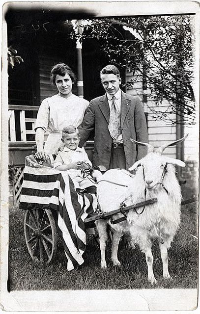 personal goat - Story, USA, Retro, Goat, Children, Movement
