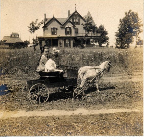 personal goat - Story, USA, Retro, Goat, Children, Movement