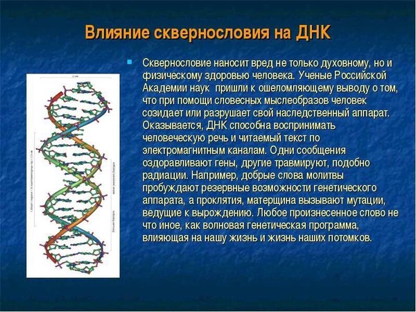 Lies, Pizdezh and provocation - PGM, Bob, Scientists