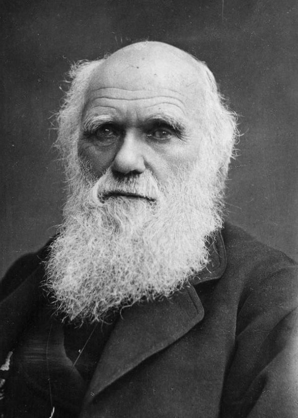 By the way, about the birds. - My, Charles Darwin, My, Text, Birds